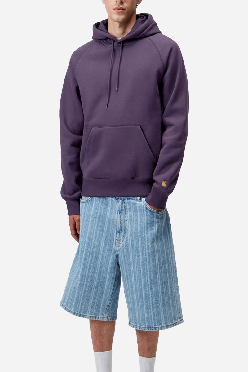 Carhartt WIP Hooded Chase Sweat (Lokers/Gold) | Sweaters